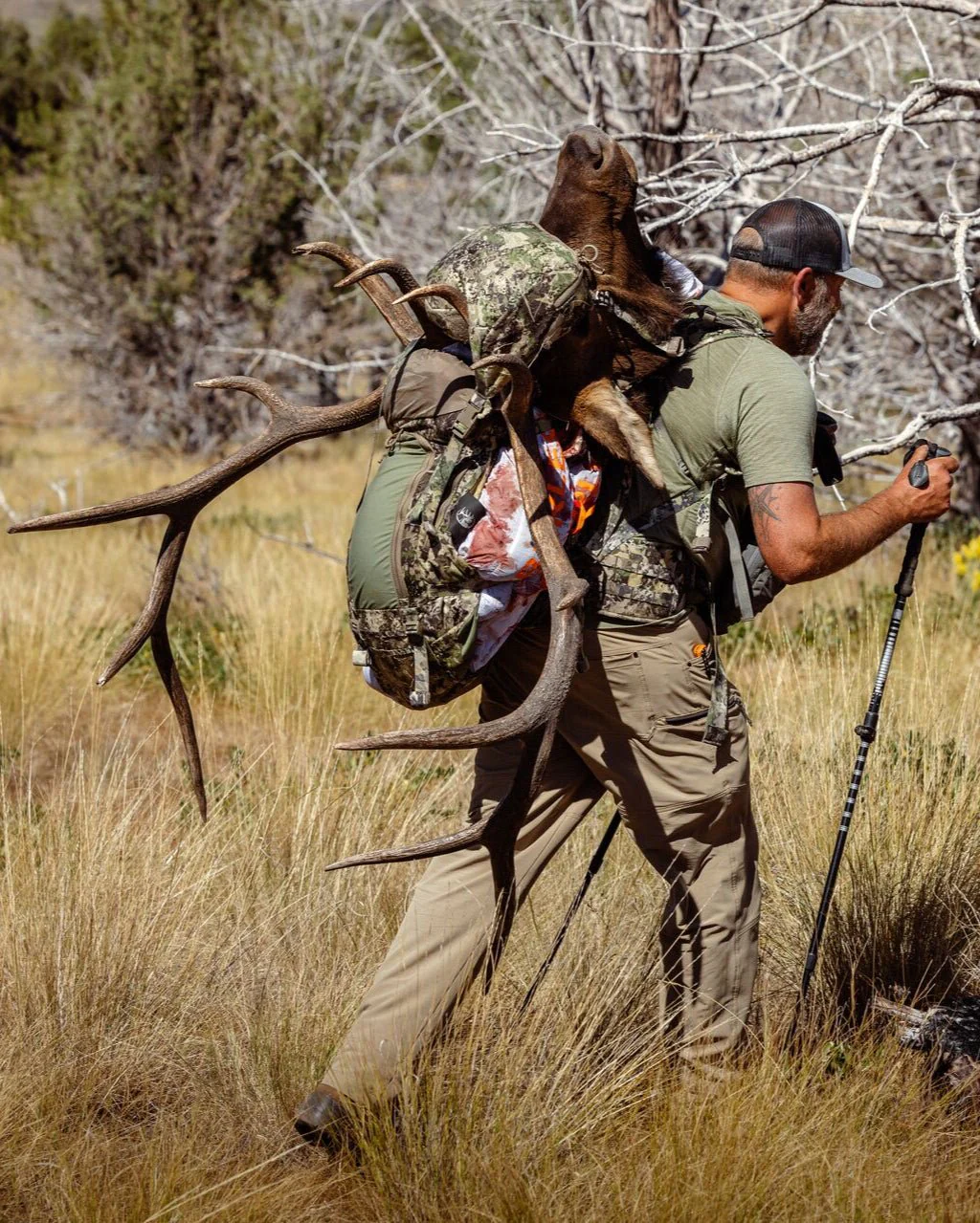 Team Elk - Image 3