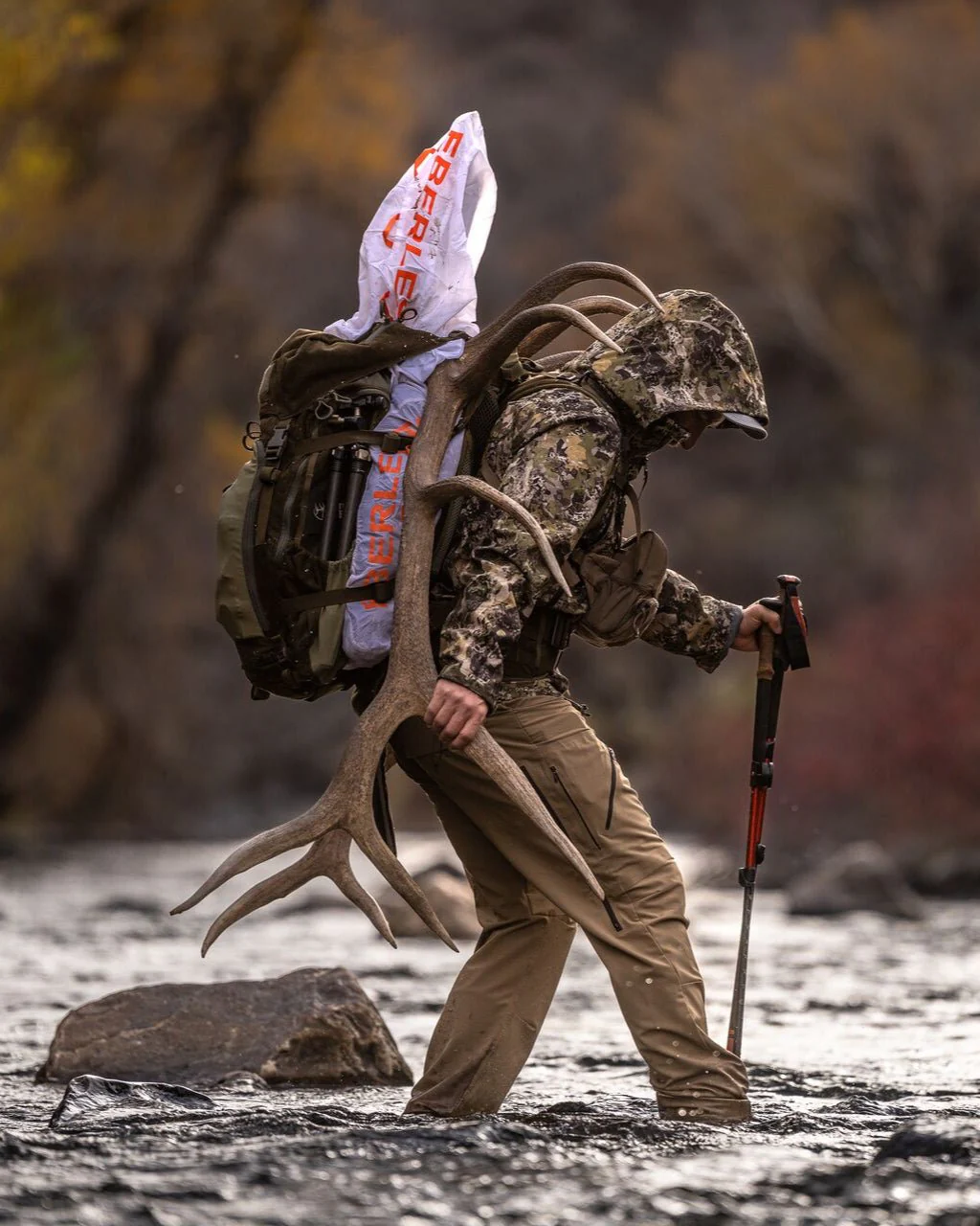 Team Elk - Image 5